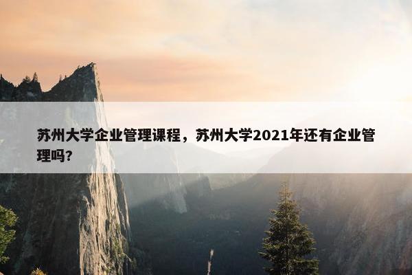苏州大学企业管理课程，苏州大学2021年还有企业管理吗?