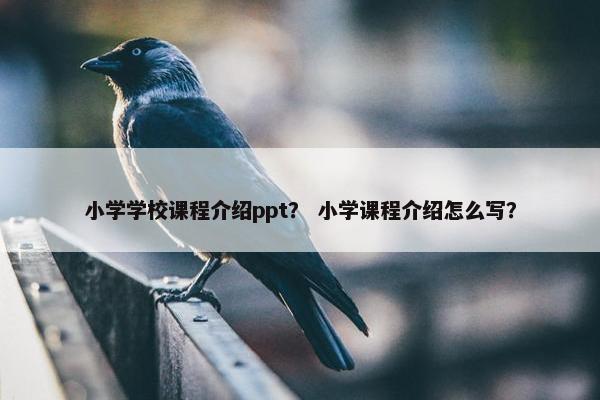 小学学校课程介绍ppt？ 小学课程介绍怎么写？