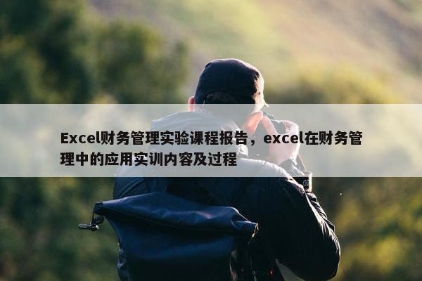 Excel财务管理实验课程报告，excel在财务管理中的应用实训内容及过程