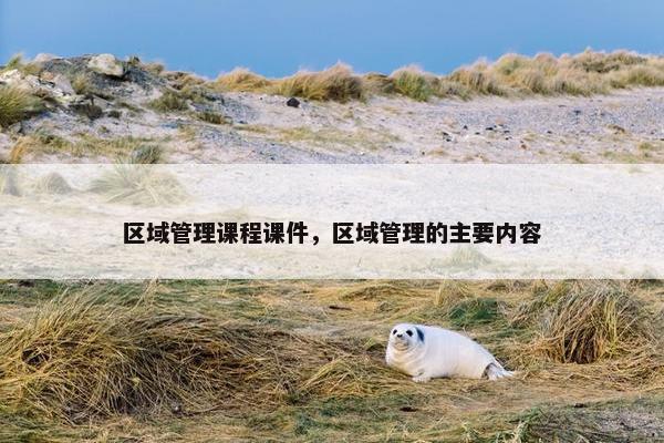区域管理课程课件，区域管理的主要内容
