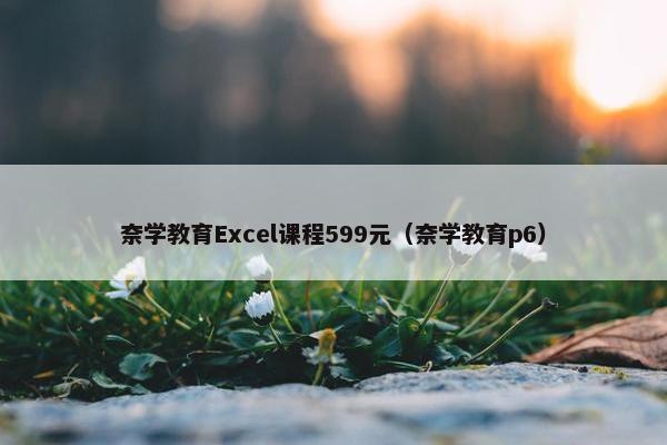 奈学教育Excel课程599元（奈学教育p6）