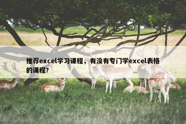推荐excel学习课程，有没有专门学excel表格的课程?