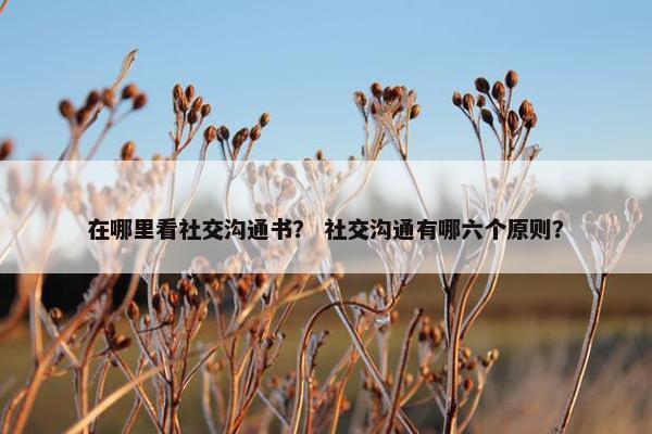 在哪里看社交沟通书？ 社交沟通有哪六个原则？