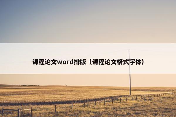 课程论文word排版（课程论文格式字体）