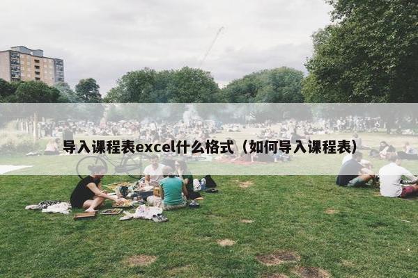 导入课程表excel什么格式（如何导入课程表）