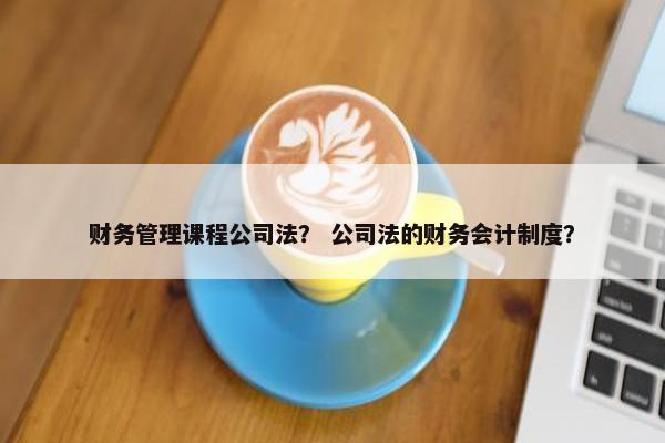 财务管理课程公司法？ 公司法的财务会计制度？