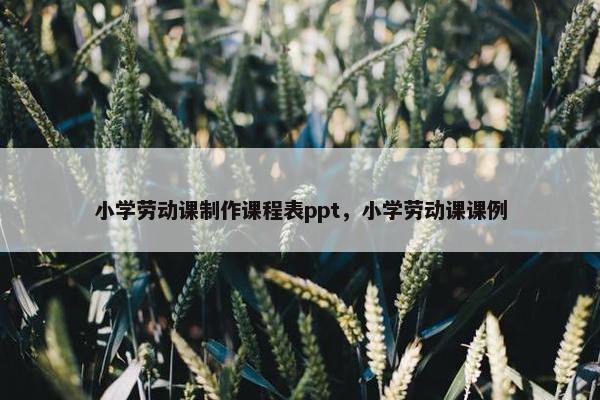 小学劳动课制作课程表ppt，小学劳动课课例