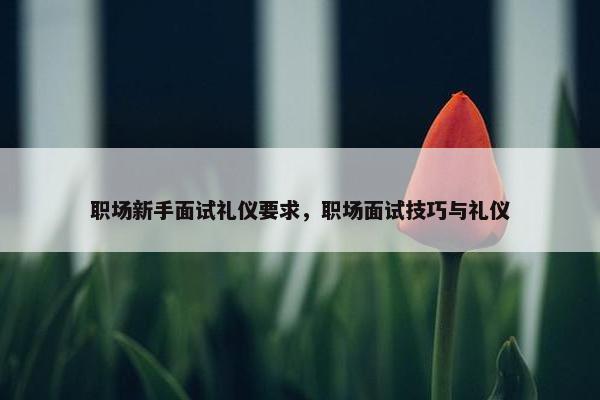 职场新手面试礼仪要求，职场面试技巧与礼仪
