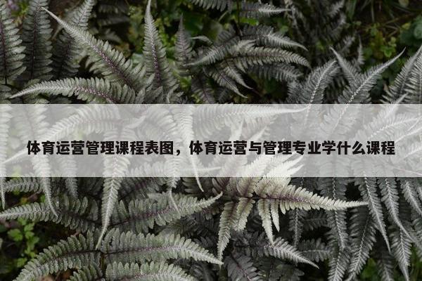 体育运营管理课程表图，体育运营与管理专业学什么课程