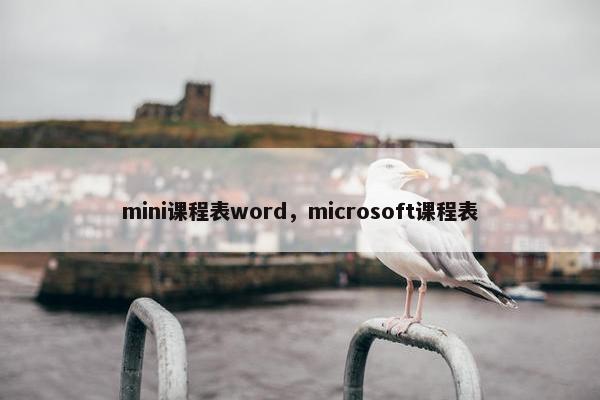mini课程表word，microsoft课程表