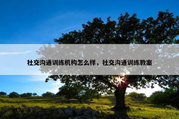 社交沟通训练机构怎么样，社交沟通训练教案