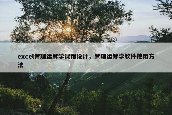 excel管理运筹学课程设计，管理运筹学软件使用方法