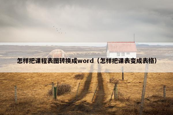 怎样把课程表图转换成word（怎样把课表变成表格）