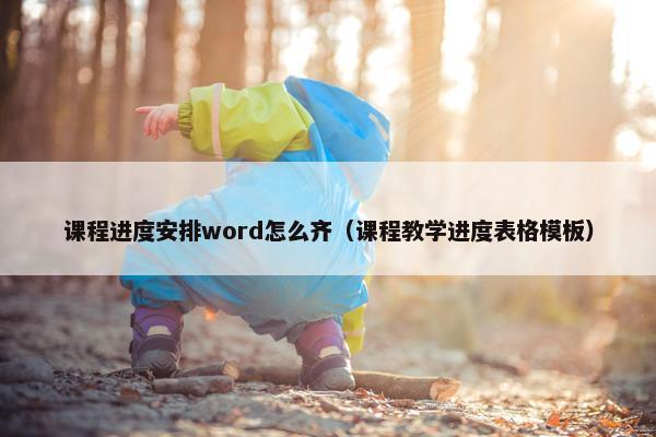课程进度安排word怎么齐（课程教学进度表格模板）