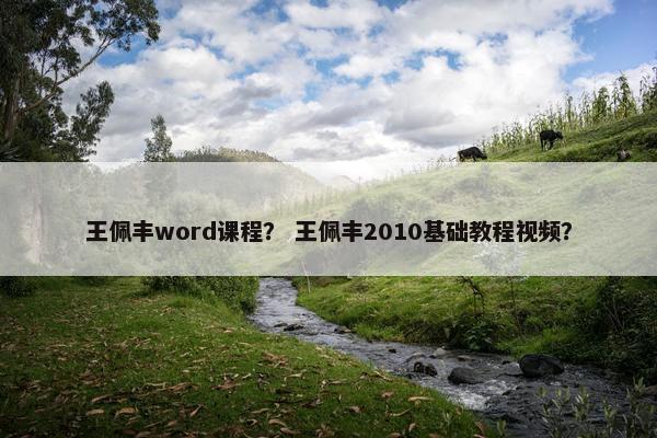王佩丰word课程？ 王佩丰2010基础教程视频？