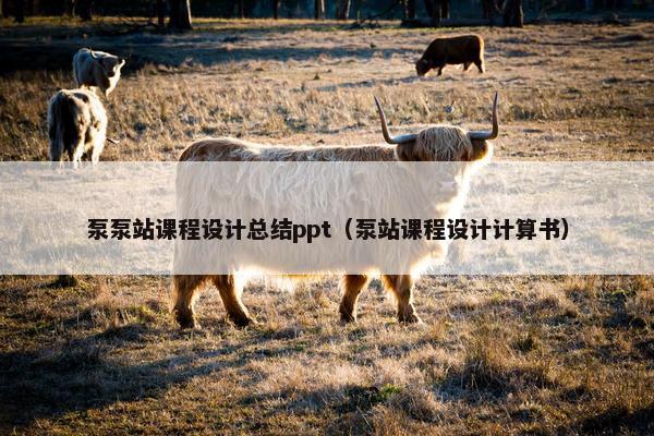 泵泵站课程设计总结ppt（泵站课程设计计算书）