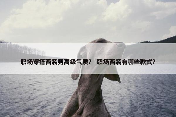 职场穿搭西装男高级气质？ 职场西装有哪些款式？
