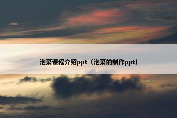 泡菜课程介绍ppt（泡菜的制作ppt）