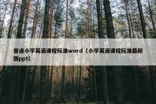 普通小学英语课程标准word（小学英语课程标准最新版ppt）