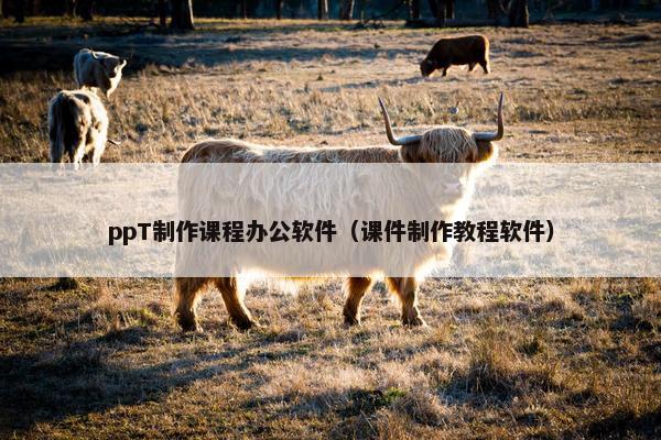 ppT制作课程办公软件（课件制作教程软件）