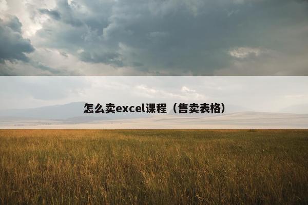 怎么卖excel课程（售卖表格）