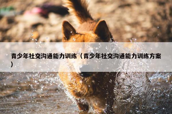 青少年社交沟通能力训练（青少年社交沟通能力训练方案）