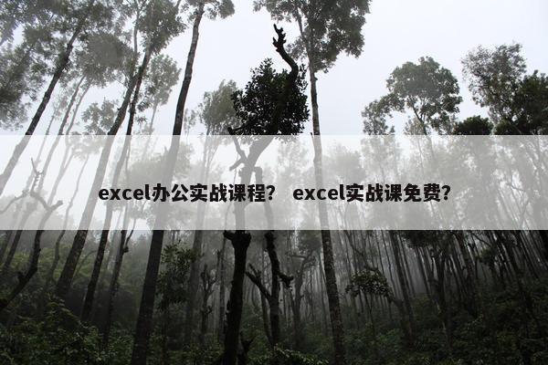 excel办公实战课程？ excel实战课免费？