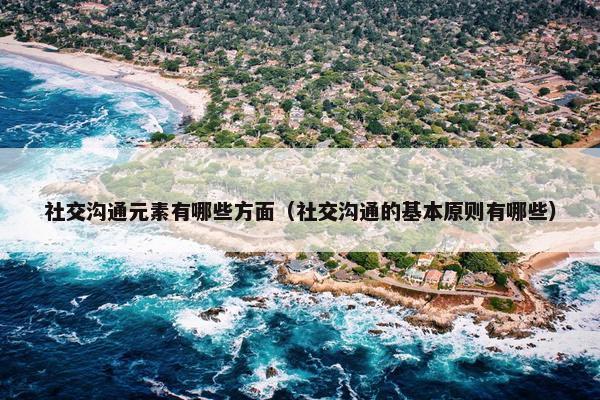 社交沟通元素有哪些方面（社交沟通的基本原则有哪些）