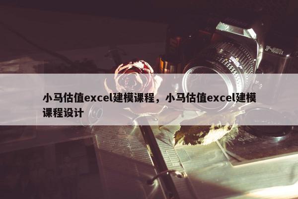 小马估值excel建模课程，小马估值excel建模课程设计