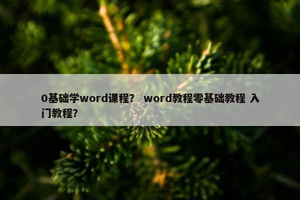 0基础学word课程？ word教程零基础教程 入门教程？