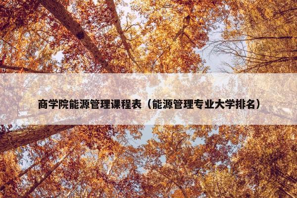 商学院能源管理课程表（能源管理专业大学排名）