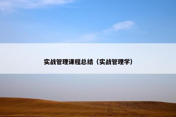 实战管理课程总结（实战管理学）