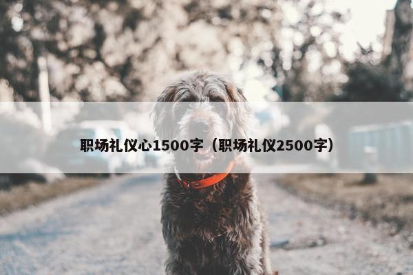 职场礼仪心1500字（职场礼仪2500字）