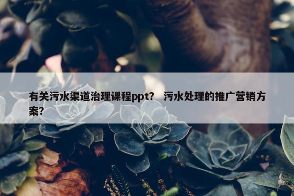 有关污水渠道治理课程ppt？ 污水处理的推广营销方案？