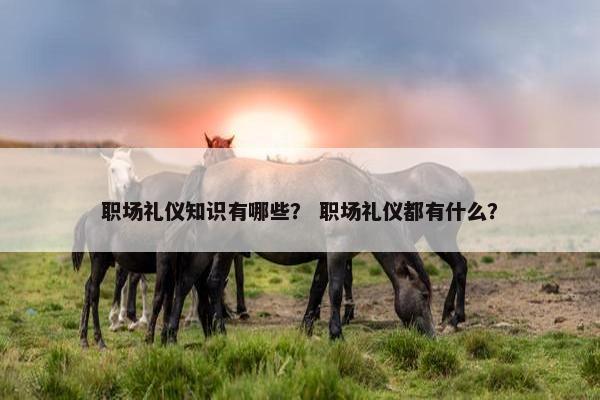 职场礼仪知识有哪些？ 职场礼仪都有什么？