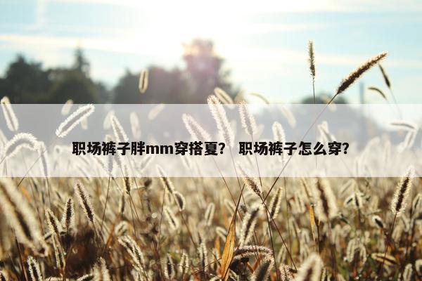 职场裤子胖mm穿搭夏？ 职场裤子怎么穿？