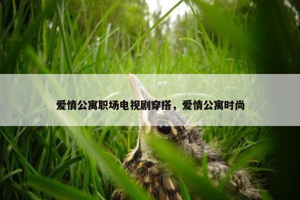 爱情公寓职场电视剧穿搭，爱情公寓时尚