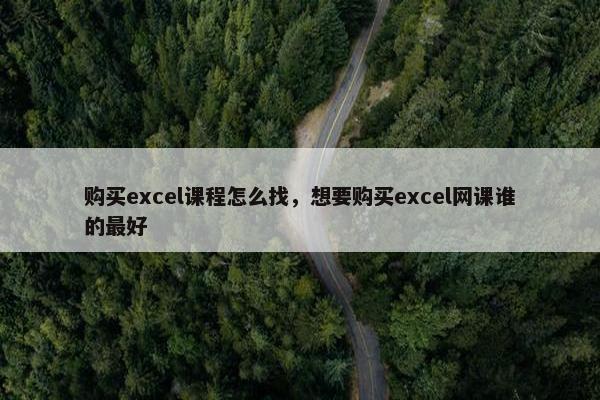购买excel课程怎么找，想要购买excel网课谁的最好