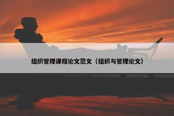 组织管理课程论文范文（组织与管理论文）
