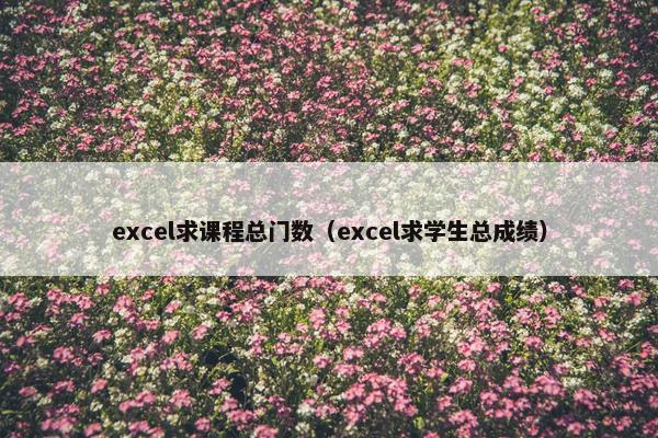 excel求课程总门数（excel求学生总成绩）