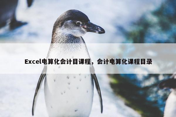 Excel电算化会计目课程，会计电算化课程目录