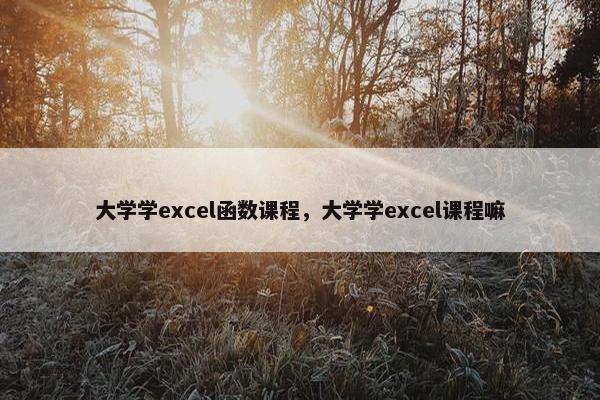 大学学excel函数课程，大学学excel课程嘛