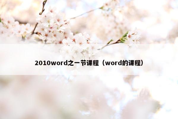 2010word之一节课程（word的课程）