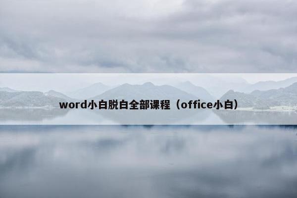 word小白脱白全部课程（office小白）