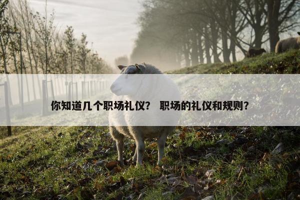 你知道几个职场礼仪？ 职场的礼仪和规则？