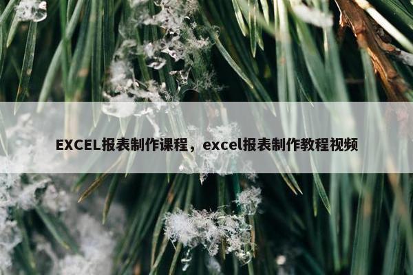 EXCEL报表制作课程，excel报表制作教程视频