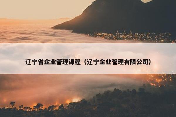 辽宁省企业管理课程（辽宁企业管理有限公司）