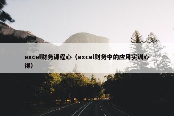 excel财务课程心（excel财务中的应用实训心得）