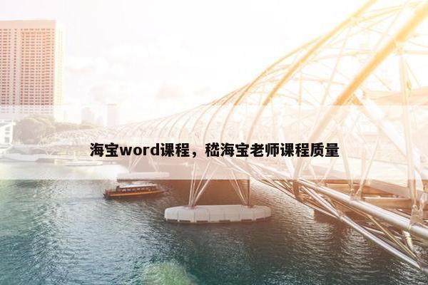 海宝word课程，嵇海宝老师课程质量