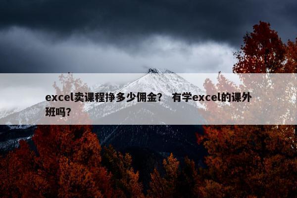 excel卖课程挣多少佣金？ 有学excel的课外班吗？